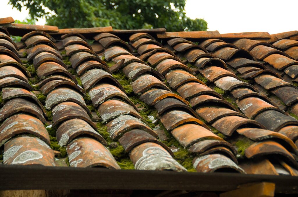 roof, tile, rustic-826762.jpg